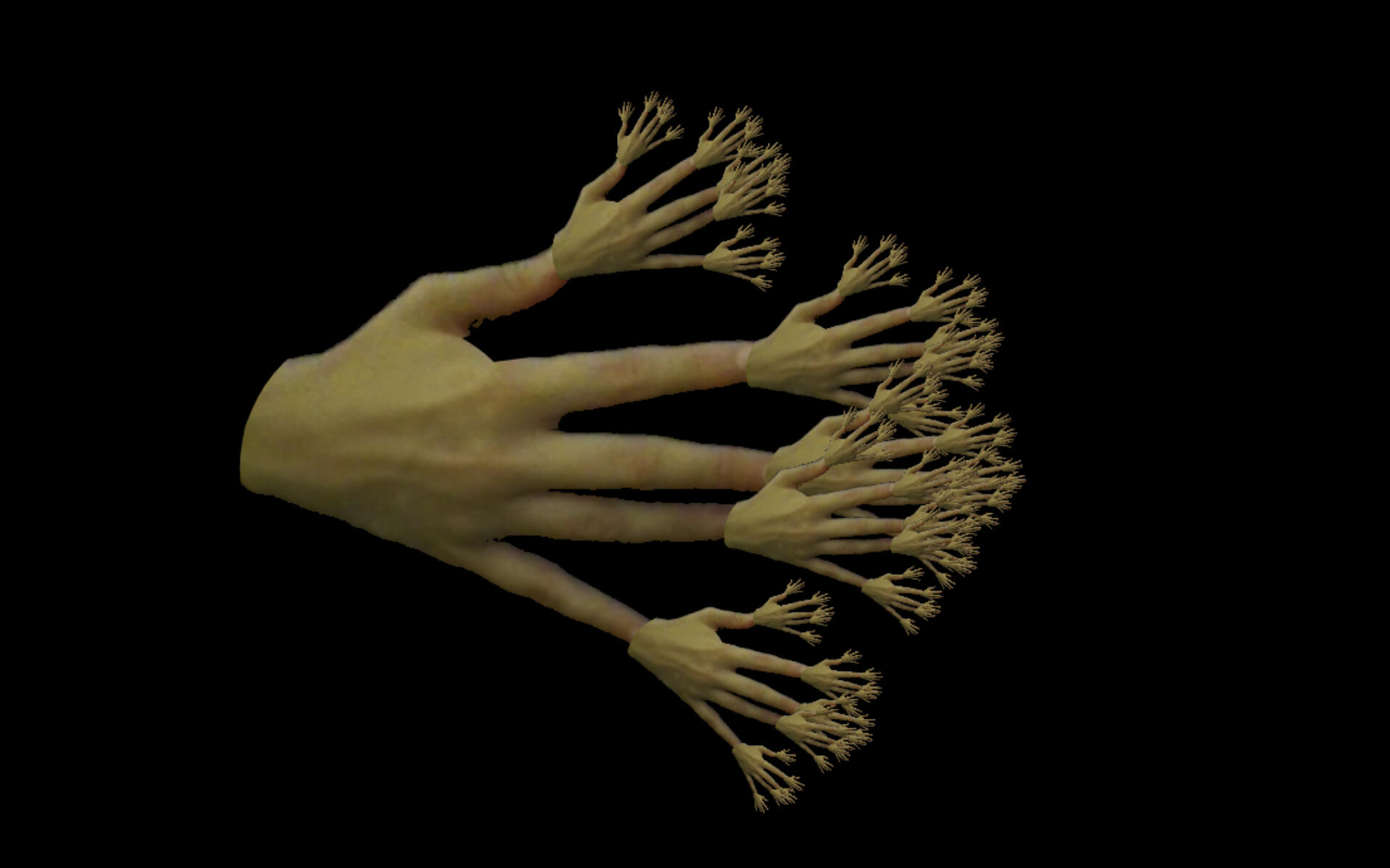 Hand Fractals Screen Capture